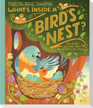 What's Inside a Bird's Nest?