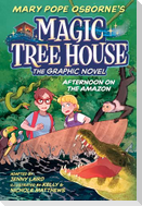 Afternoon on the Amazon Graphic Novel