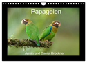 Papageien (Wandkalender 2024 DIN A4 quer), CALVENDO Monatskalender