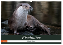 Fischotter, flinke Jäger (Wandkalender 2024 DIN A2 quer), CALVENDO Monatskalender