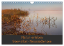 Natur erleben Seewinkel-Neusiedlersee (Wandkalender 2024 DIN A4 quer), CALVENDO Monatskalender