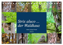 Strix aluco ... der Waldkauz (Tischkalender 2025 DIN A5 quer), CALVENDO Monatskalender
