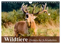 Wildtiere. Heimische Schönheiten (Wandkalender 2024 DIN A4 quer), CALVENDO Monatskalender