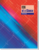 ECG at a Glance