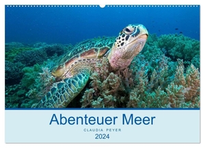 Peyer, Claudia. Abenteuer Unterwasser (Wandkalender 2024 DIN A2 quer), CALVENDO Monatskalender - Unterwasseraufnahmen aus den tropischen Gewässern um Indonesien (Raja Ampat), Bali und Fiji. Calvendo, 2023.