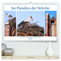Im Paradies der Störche - Dorfkirchen als Storchkirchen in Ostpreußen (hochwertiger Premium Wandkalender 2025 DIN A2 quer), Kunstdruck in Hochglanz