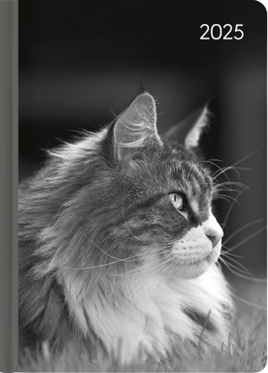 Alpha Edition (Hrsg.). Lady Journal Cat 2025 - Taschenkalender A6 (10,7x15,2 cm) - Weekly - 192 Seiten - Notiz-Buch - Termin-Planer - Alpha Edition. ALPHA EDITION GmbH, 2024.