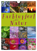 Farbtupferl der Natur (Wandkalender 2024 DIN A4 hoch), CALVENDO Monatskalender