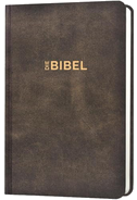 Schlachter 2000 Bibel - Taschenausgabe (Hardcover, illustrierter Einband, Antikleder-Optik)