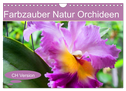 Farbzauber Natur Orchideen - CH Version (Wandkalender 2024 DIN A4 quer), CALVENDO Monatskalender