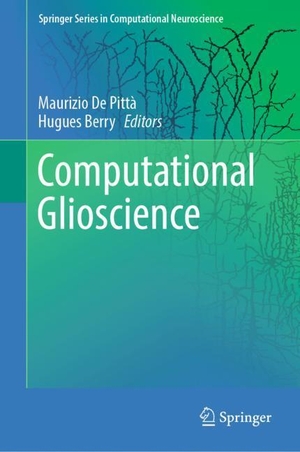 Berry, Hugues / Maurizio de Pittà (Hrsg.). Computational Glioscience. Springer International Publishing, 2019.