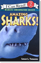 Amazing Sharks!