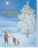 Schneehäschens Stern