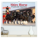 Shire Horse ¿ Prunkvolle Giganten (hochwertiger Premium Wandkalender 2024 DIN A2 quer), Kunstdruck in Hochglanz