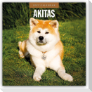 Akitas - Akita 2027 - 16-Monatskalender