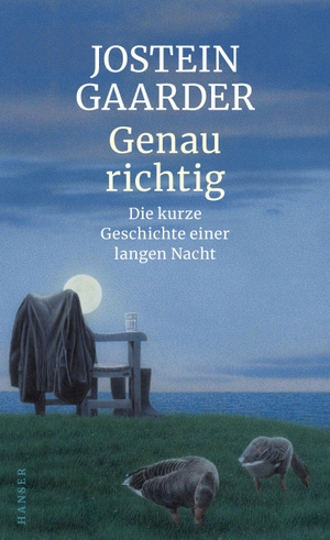 Gaarder, Jostein. Genau richtig - Die kurze Geschichte einer langen Nacht. Carl Hanser Verlag, 2019.