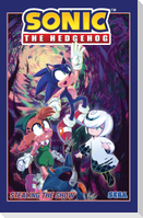 Sonic the Hedgehog, Vol. 22: Stealing the Show