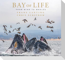 Bay of Life