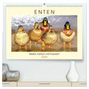 Enten. Beliebt, hübsch und imposant (hochwertiger Premium Wandkalender 2024 DIN A2 quer), Kunstdruck in Hochglanz