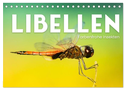 Libellen - Farbenfrohe Insekten (Tischkalender 2024 DIN A5 quer), CALVENDO Monatskalender