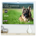 Zauberhafte Langhaar Schäferhunde (hochwertiger Premium Wandkalender 2025 DIN A2 quer), Kunstdruck in Hochglanz
