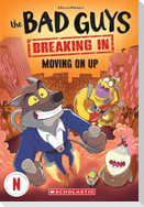 Bad Guys TV Chapter Book #2