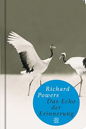 Powers, Richard. Das Echo der Erinnerung. FISCHER Taschenbuch, 2008.