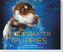 Underwater Puppies