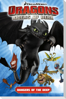 Dragons Riders of Berk