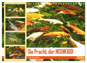 Die Pracht der NISHIKIGOI - Koi Karpfen (Wandkalender 2025 DIN A4 quer), CALVENDO Monatskalender