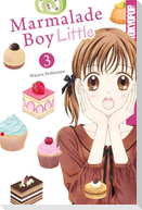 Marmalade Boy Little 03