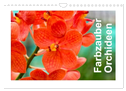 Farbzauber Orchideen (Wandkalender 2025 DIN A4 quer), CALVENDO Monatskalender