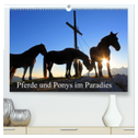 Pferde und Ponys im Paradies (hochwertiger Premium Wandkalender 2025 DIN A2 quer), Kunstdruck in Hochglanz