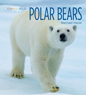 Hanel, Rachael. Polar Bears. Creative Company, 2009.