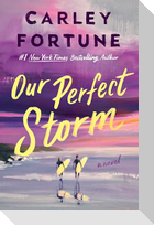 Our Perfect Storm