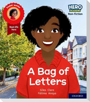 Hero Academy Non-fiction: Oxford Level 4, Light Blue Book Band: A Bag of Letters