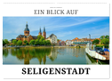 Ein Blick auf Seligenstadt (Wandkalender 2024 DIN A2 quer), CALVENDO Monatskalender