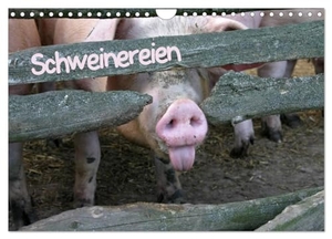Berg, Martina. Schweinereien (Wandkalender 2024 DIN A4 quer), CALVENDO Monatskalender - Große und kleine Schweine. Calvendo Verlag, 2023.