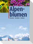 Alpenblumen