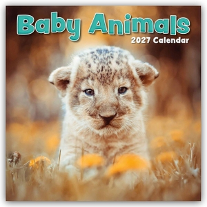 Gifted Stationery Co. Ltd. Baby Animals - Tierkinder 2027 - 16-Monatskalender - Original Gifted Stationery-Kalender [Mehrsprachig] [Kalender]. Browntrout Verlags GmbH, 2026.