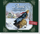 Anne auf Green Gables, Folge 5-8