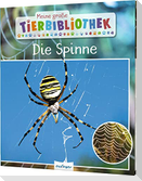 Meine große Tierbibliothek: Die Spinne