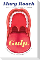 Gulp
