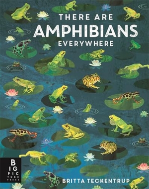 Bedoyere, Camilla De La. There Are Amphibians Everywhere. Templar Books, 2025.