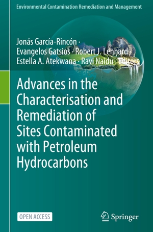 García-Rincón, Jonás / Evangelos Gatsios et al (Hrsg.). Advances in the Characterisation and Remediation of Sites Contaminated with Petroleum Hydrocarbons. Springer International Publishing, 2023.