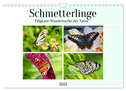 Schmetterlinge - Filigrane Wunderwerke der Natur (Wandkalender 2024 DIN A4 quer), CALVENDO Monatskalender