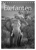 Elefanten in schwarz-weiss (Tischkalender 2025 DIN A5 hoch), CALVENDO Monatskalender
