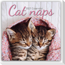 Cat Naps - Träumende Katzen 2027 - 16-Monatskalender