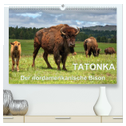 TATONKA Der nordamerikanische Bison (hochwertiger Premium Wandkalender 2024 DIN A2 quer), Kunstdruck in Hochglanz