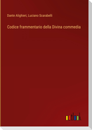 Codice frammentario della Divina commedia